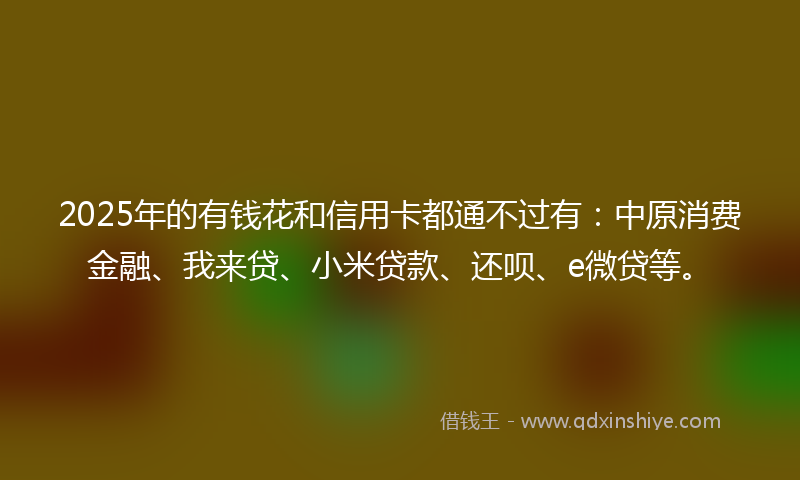 2025年的有钱花和信用卡都通不过有：中原消费金融、我来贷、小米贷款、还呗、e微贷等。