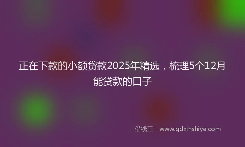 正在下款的小额贷款2025年精选，梳理5个12月能贷款的口子