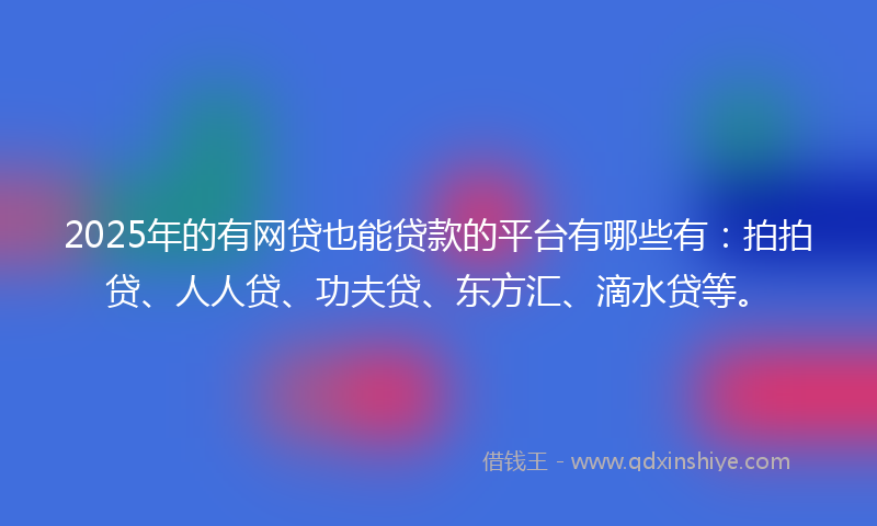 2025年的有网贷也能贷款的平台有哪些有：拍拍贷、人人贷、功夫贷、东方汇、滴水贷等。