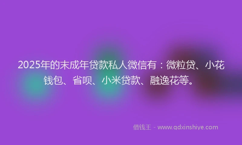 2025年的末成年贷款私人微信有：微粒贷、小花钱包、省呗、小米贷款、融逸花等。
