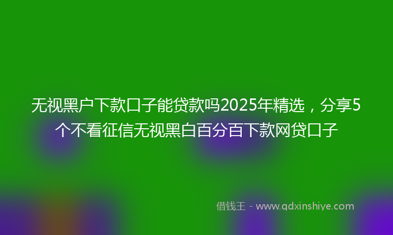 无视黑户下款口子能贷款吗2025年精选，分享5个不看征信无视黑白百分百下款网贷口子