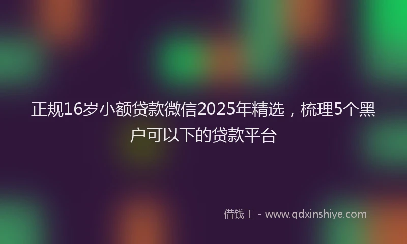 正规16岁小额贷款微信2025年精选，梳理5个黑户可以下的贷款平台
