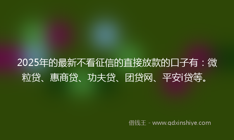 2025年的最新不看征信的直接放款的口子有：微粒贷、惠商贷、功夫贷、团贷网、平安i贷等。