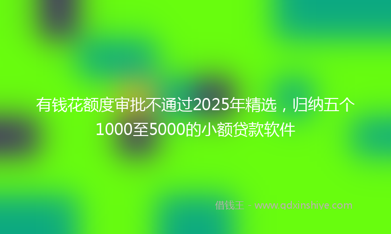 有钱花额度审批不通过2025年精选，归纳五个1000至5000的小额贷款软件