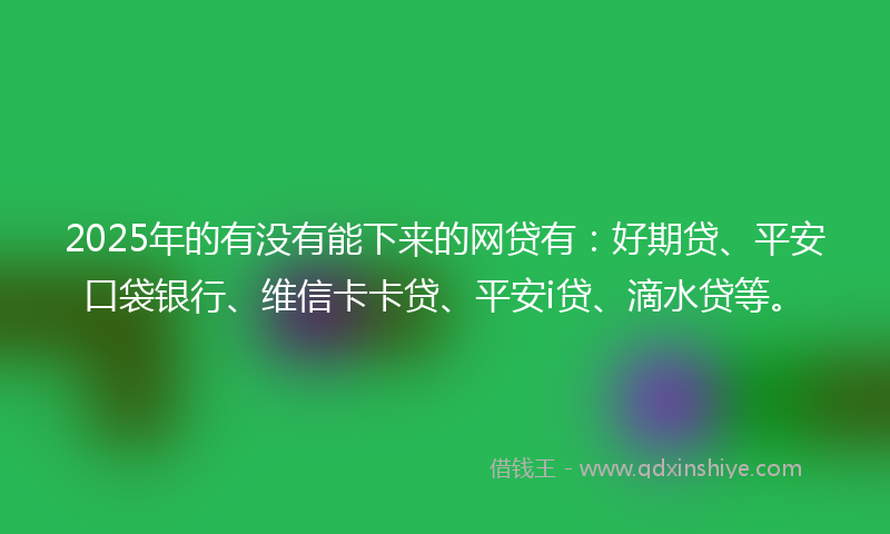 2025年的有没有能下来的网贷有：好期贷、平安口袋银行、维信卡卡贷、平安i贷、滴水贷等。