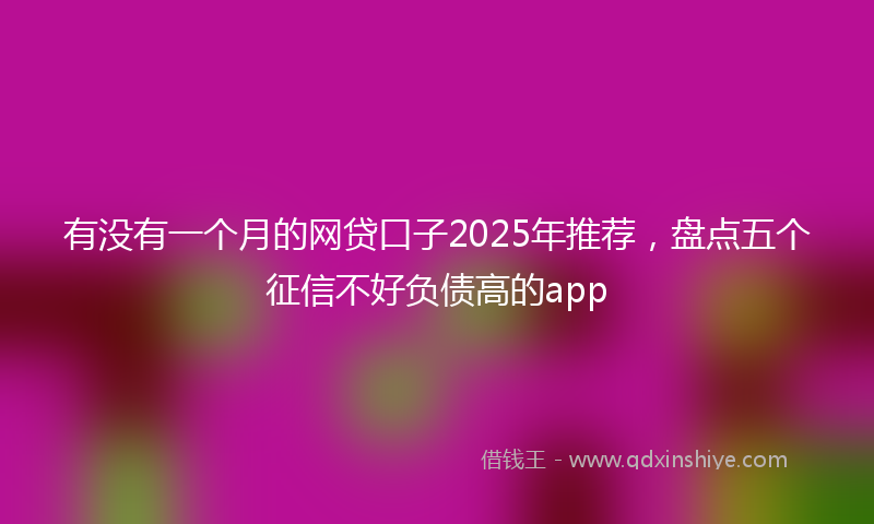 有没有一个月的网贷口子2025年推荐，盘点五个征信不好负债高的app