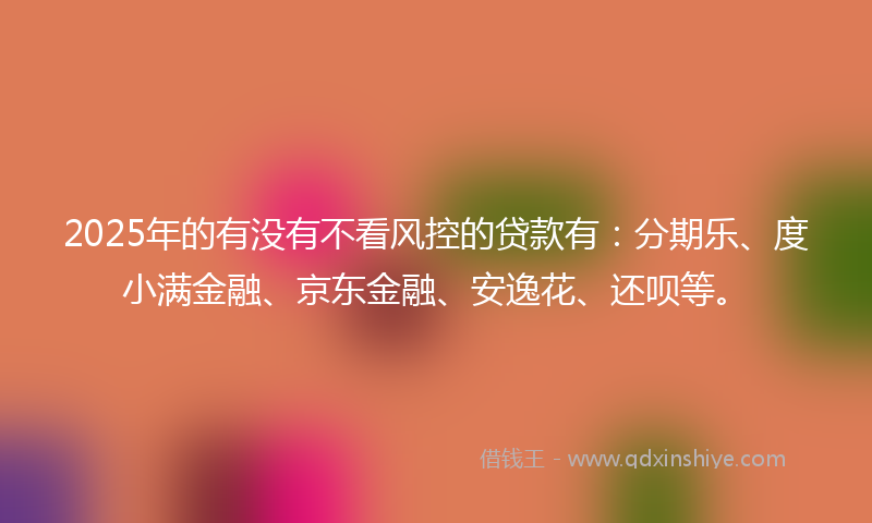 2025年的有没有不看风控的贷款有：分期乐、度小满金融、京东金融、安逸花、还呗等。