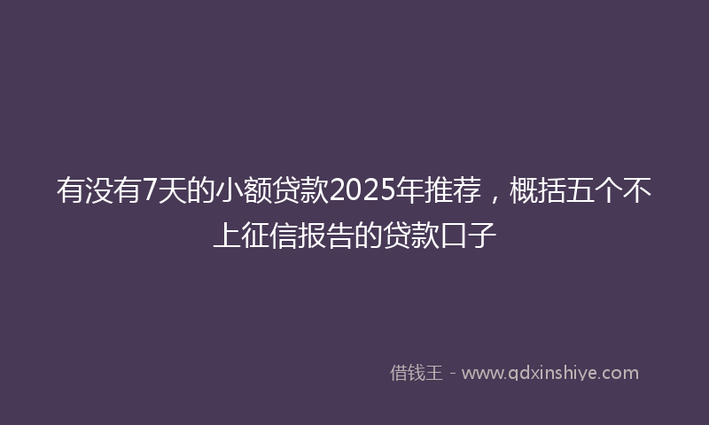 有没有7天的小额贷款2025年推荐，概括五个不上征信报告的贷款口子