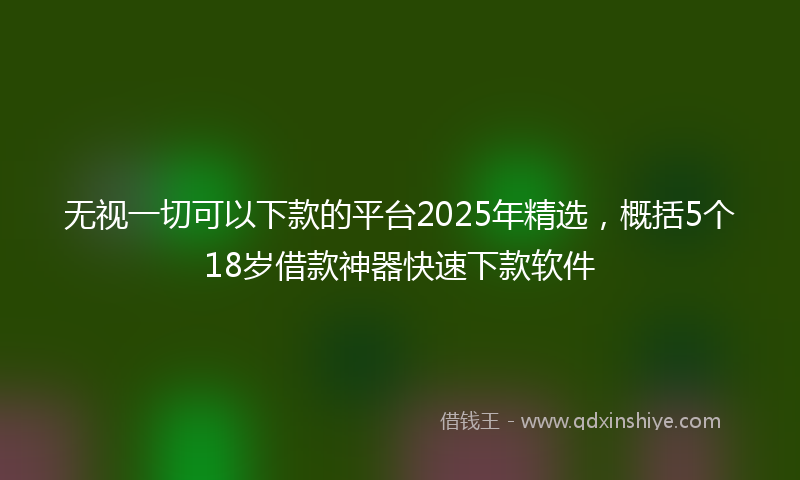 无视一切可以下款的平台2025年精选，概括5个18岁借款神器快速下款软件