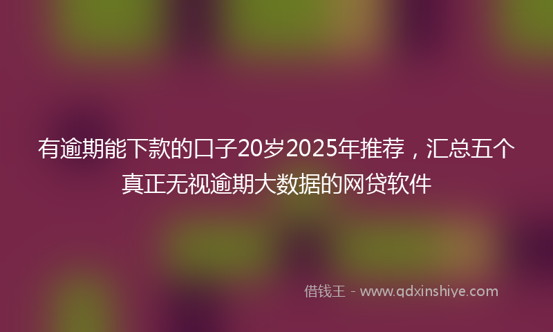 有逾期能下款的口子20岁2025年推荐，汇总五个真正无视逾期大数据的网贷软件
