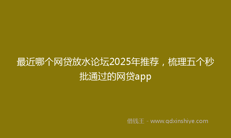 最近哪个网贷放水论坛2025年推荐，梳理五个秒批通过的网贷app