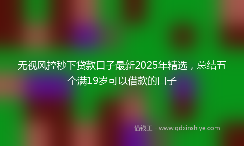 无视风控秒下贷款口子最新2025年精选，总结五个满19岁可以借款的口子