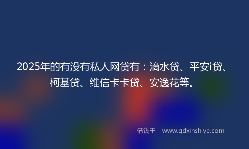 2025年的有没有私人网贷有：滴水贷、平安i贷、柯基贷、维信卡卡贷、安逸花等。
