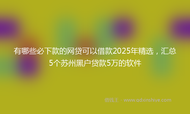 有哪些必下款的网贷可以借款2025年精选，汇总5个苏州黑户贷款5万的软件