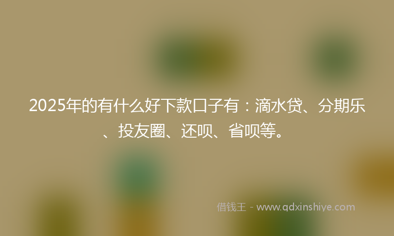 2025年的有什么好下款口子有：滴水贷、分期乐、投友圈、还呗、省呗等。