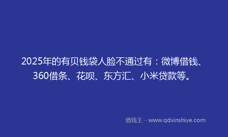 2025年的有贝钱袋人脸不通过有：微博借钱、360借条、花呗、东方汇、小米贷款等。