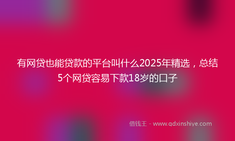 有网贷也能贷款的平台叫什么2025年精选，总结5个网贷容易下款18岁的口子