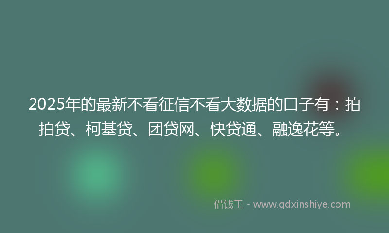 2025年的最新不看征信不看大数据的口子有：拍拍贷、柯基贷、团贷网、快贷通、融逸花等。
