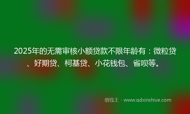2025年的无需审核小额贷款不限年龄有：微粒贷、好期贷、柯基贷、小花钱包、省呗等。