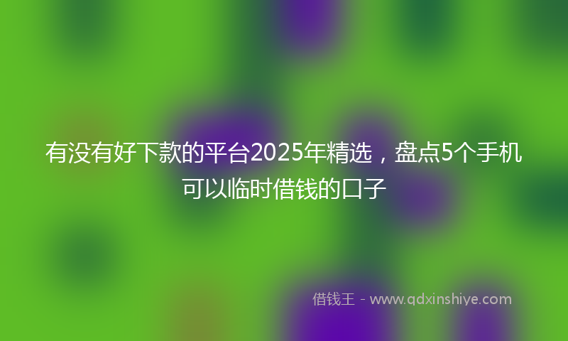 有没有好下款的平台2025年精选，盘点5个手机可以临时借钱的口子