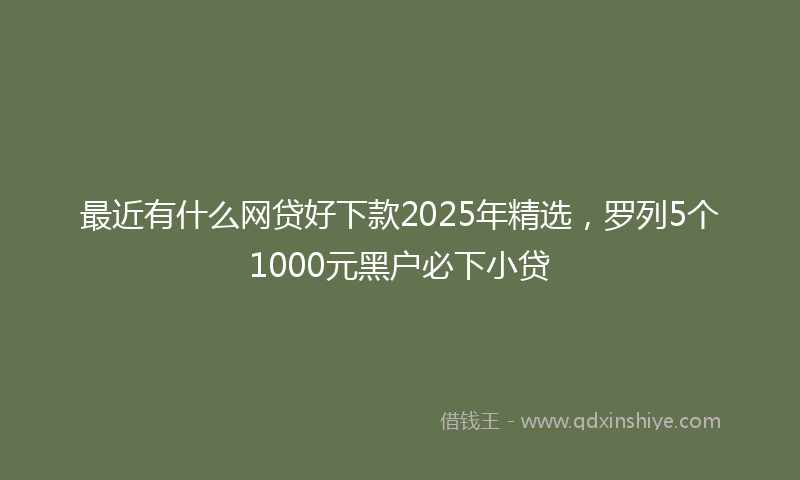 最近有什么网贷好下款2025年精选，罗列5个1000元黑户必下小贷