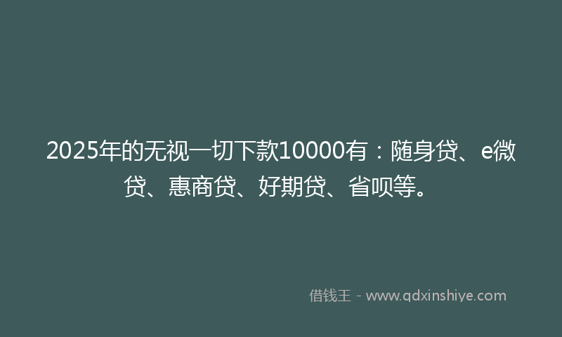 2025年的无视一切下款10000有：随身贷、e微贷、惠商贷、好期贷、省呗等。