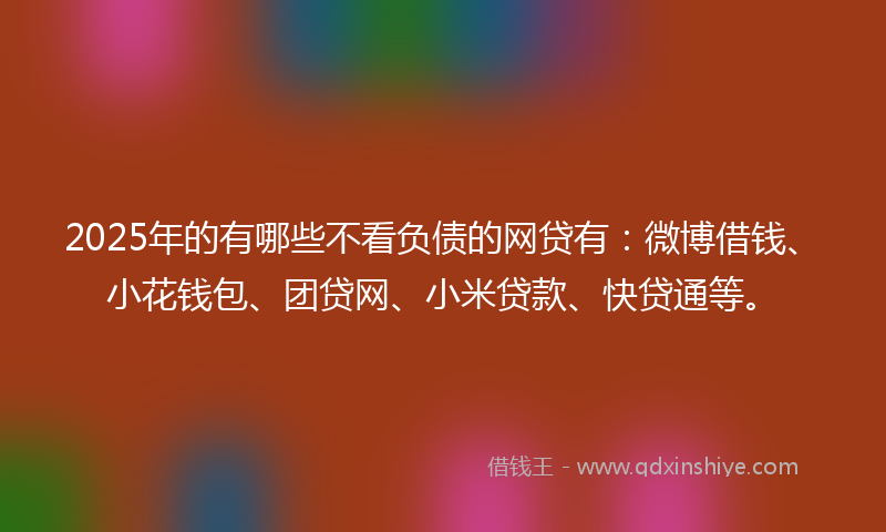 2025年的有哪些不看负债的网贷有：微博借钱、小花钱包、团贷网、小米贷款、快贷通等。