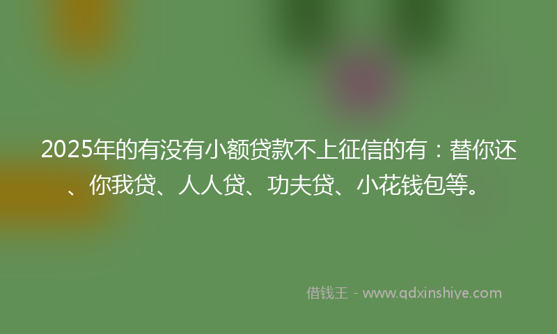 2025年的有没有小额贷款不上征信的有：替你还、你我贷、人人贷、功夫贷、小花钱包等。