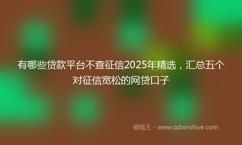 有哪些贷款平台不查征信2025年精选，汇总五个对征信宽松的网贷口子