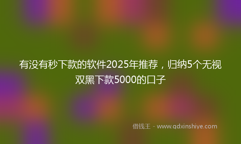 有没有秒下款的软件2025年推荐，归纳5个无视双黑下款5000的口子