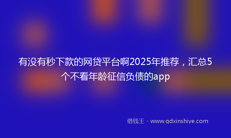 有没有秒下款的网贷平台啊2025年推荐，汇总5个不看年龄征信负债的app