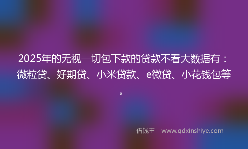 2025年的无视一切包下款的贷款不看大数据有：微粒贷、好期贷、小米贷款、e微贷、小花钱包等。