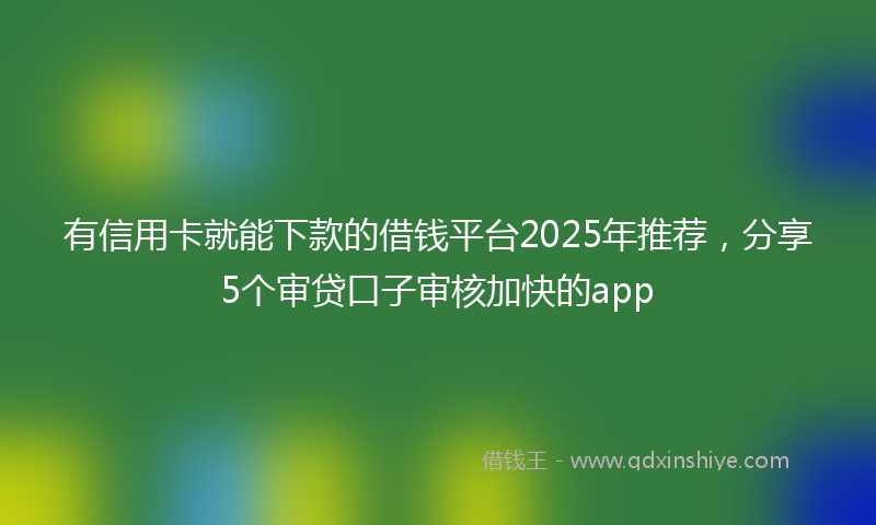 有信用卡就能下款的借钱平台2025年推荐，分享5个审贷口子审核加快的app