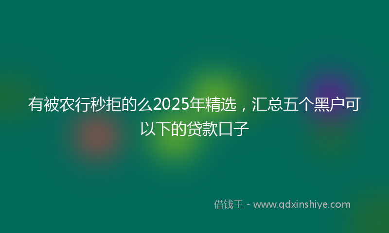 有被农行秒拒的么2025年精选，汇总五个黑户可以下的贷款口子