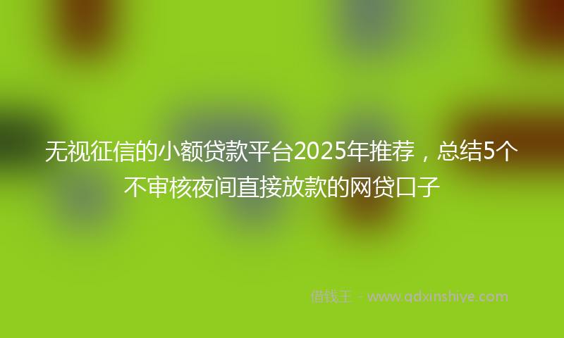 无视征信的小额贷款平台2025年推荐，总结5个不审核夜间直接放款的网贷口子