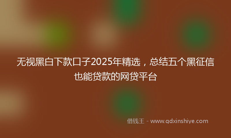 无视黑白下款口子2025年精选，总结五个黑征信也能贷款的网贷平台