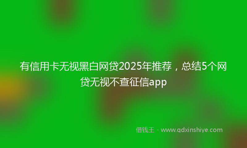 有信用卡无视黑白网贷2025年推荐，总结5个网贷无视不查征信app