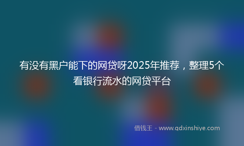 有没有黑户能下的网贷呀2025年推荐，整理5个看银行流水的网贷平台