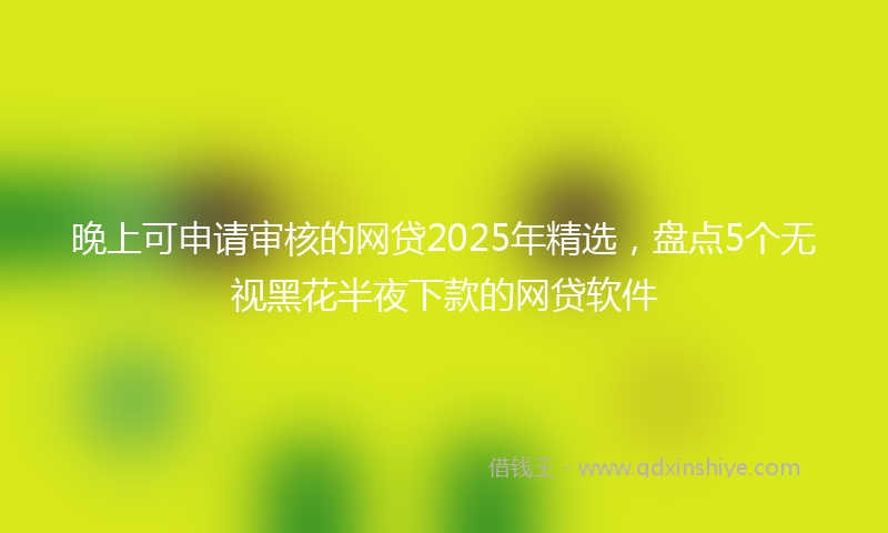 晚上可申请审核的网贷2025年精选，盘点5个无视黑花半夜下款的网贷软件