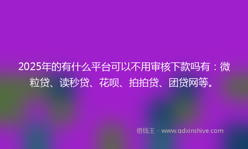 2025年的有什么平台可以不用审核下款吗有：微粒贷、读秒贷、花呗、拍拍贷、团贷网等。