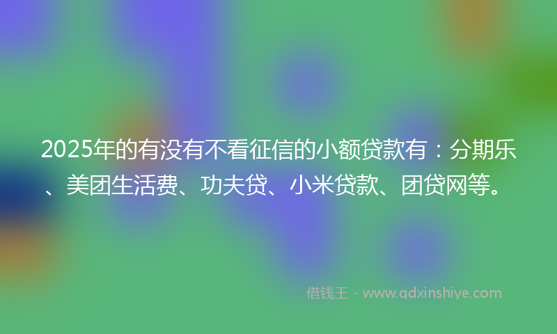 2025年的有没有不看征信的小额贷款有：分期乐、美团生活费、功夫贷、小米贷款、团贷网等。
