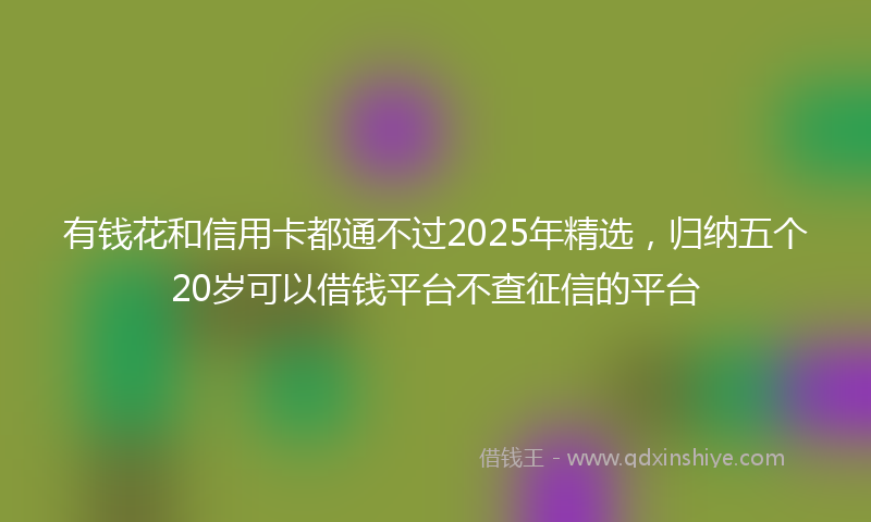 有钱花和信用卡都通不过2025年精选，归纳五个20岁可以借钱平台不查征信的平台