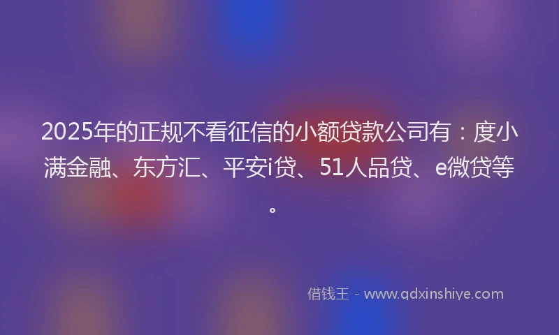 2025年的正规不看征信的小额贷款公司有：度小满金融、东方汇、平安i贷、51人品贷、e微贷等。