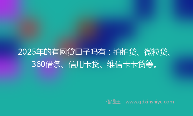 2025年的有网贷口子吗有：拍拍贷、微粒贷、360借条、信用卡贷、维信卡卡贷等。