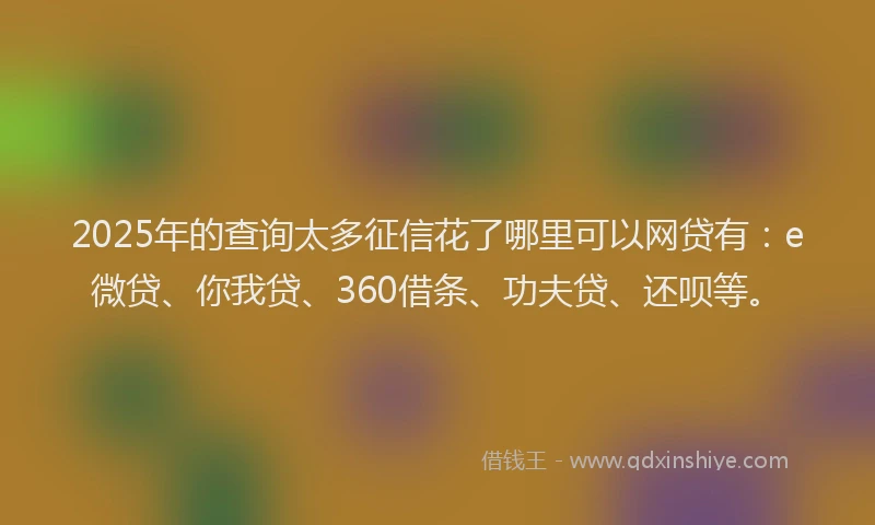 2025年的查询太多征信花了哪里可以网贷有：e微贷、你我贷、360借条、功夫贷、还呗等。