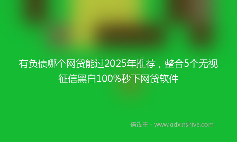 有负债哪个网贷能过2025年推荐，整合5个无视征信黑白100%秒下网贷软件