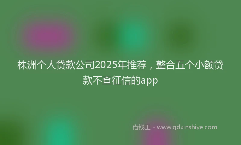 株洲个人贷款公司2025年推荐，整合五个小额贷款不查征信的app