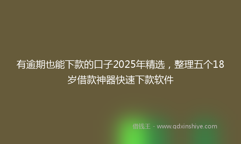 有逾期也能下款的口子2025年精选，整理五个18岁借款神器快速下款软件
