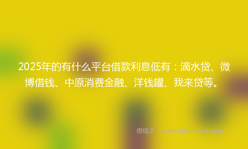 2025年的有什么平台借款利息低有：滴水贷、微博借钱、中原消费金融、洋钱罐、我来贷等。