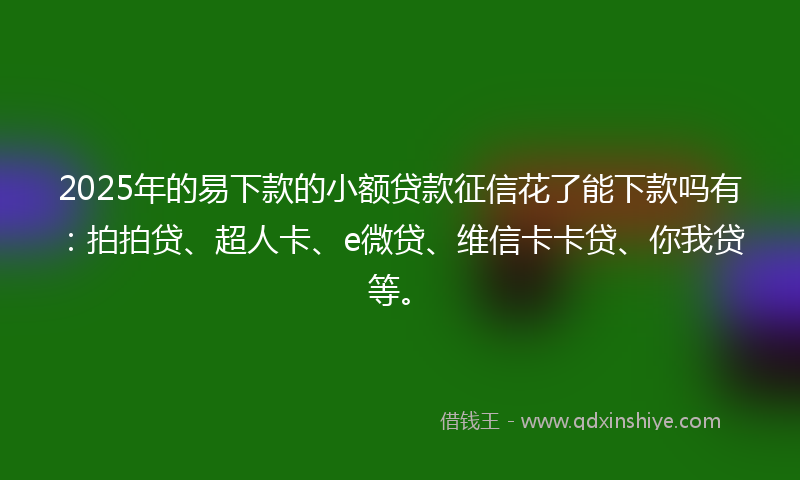 2025年的易下款的小额贷款征信花了能下款吗有：拍拍贷、超人卡、e微贷、维信卡卡贷、你我贷等。